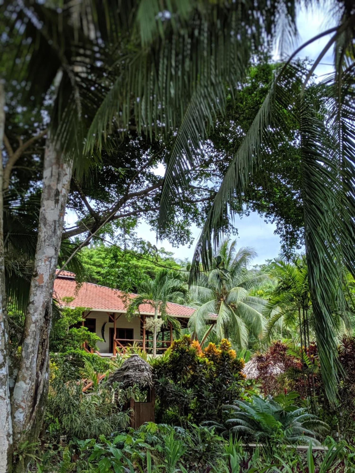 Bluff Beach Retreat Bocas Town Exterior photo