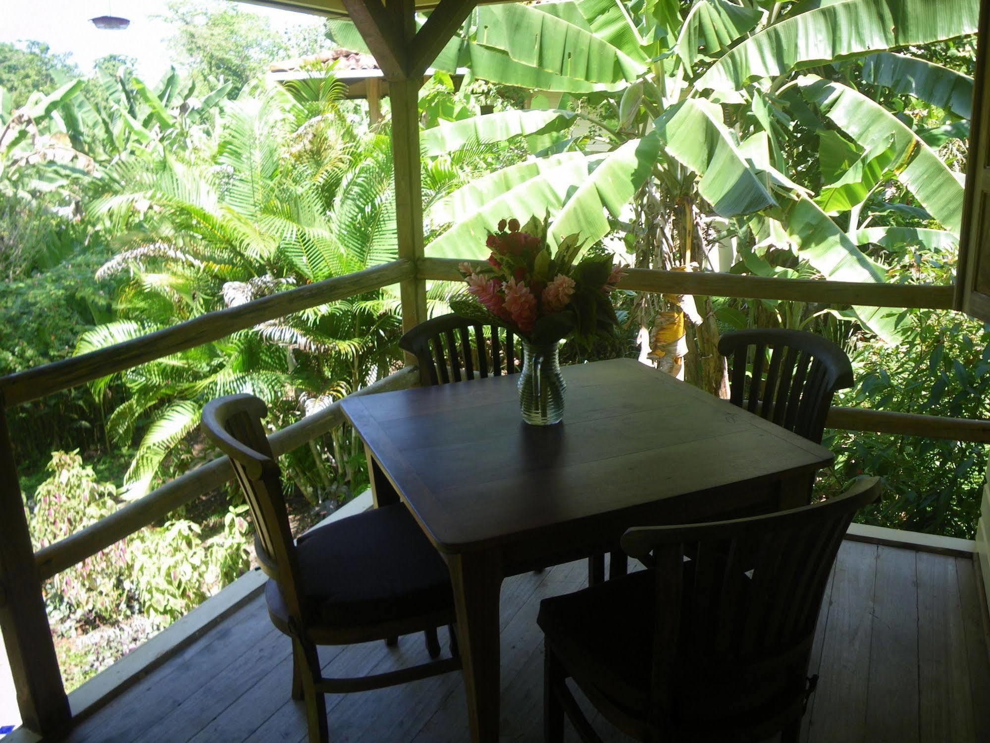 Bluff Beach Retreat Bocas Town Exterior photo