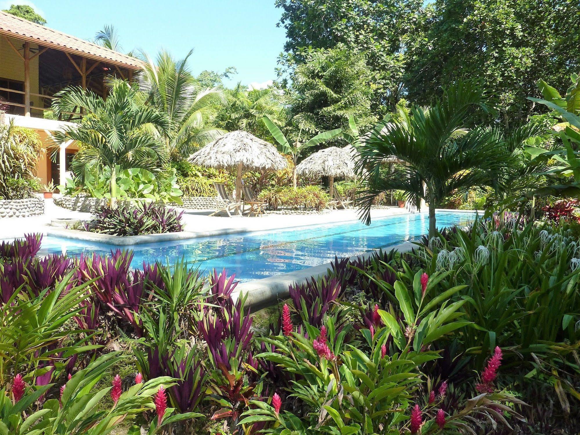 Bluff Beach Retreat Bocas Town Exterior photo