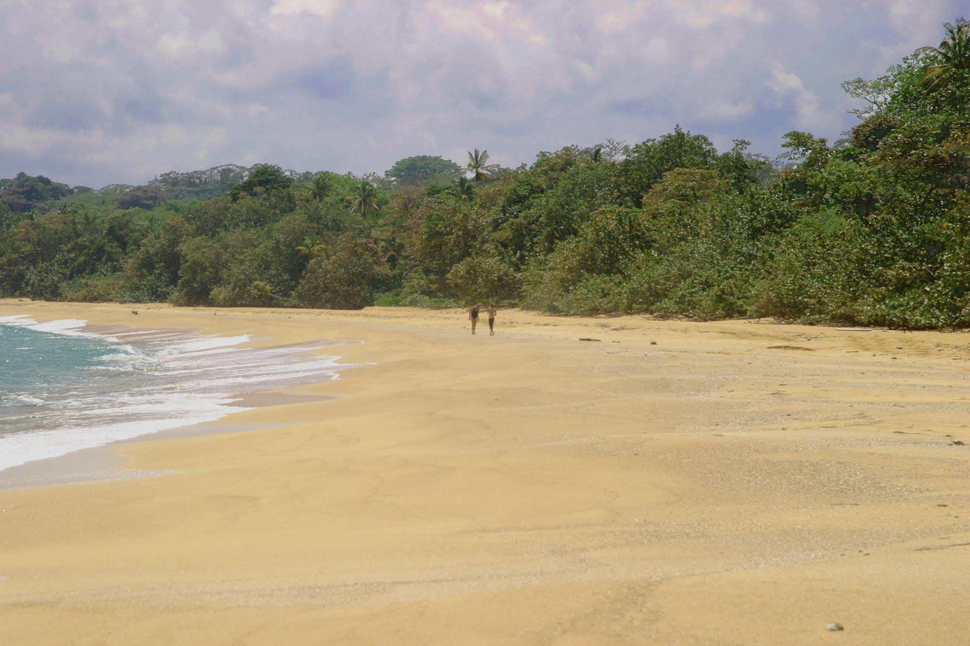 Bluff Beach Retreat Bocas Town Exterior photo