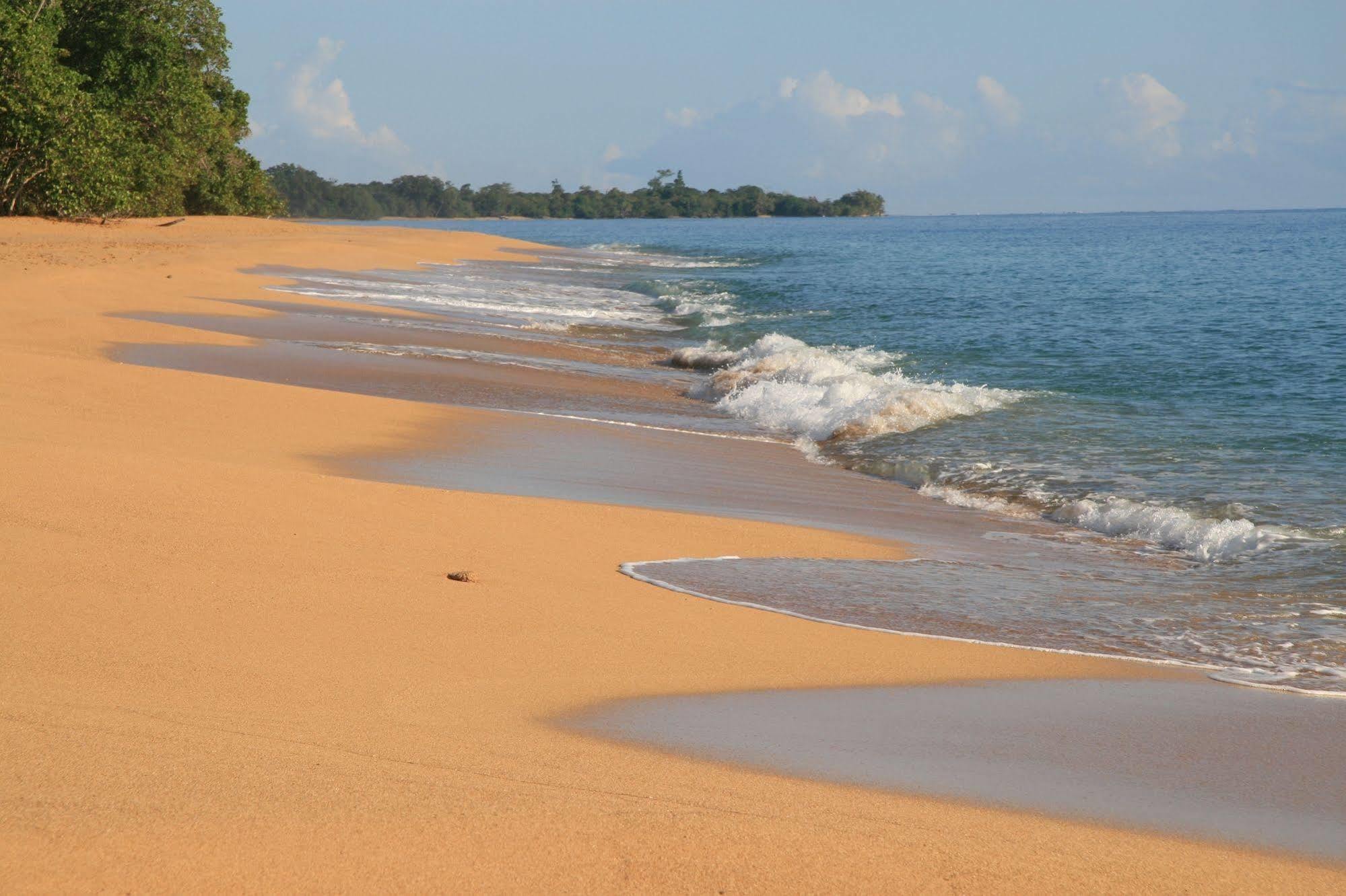 Bluff Beach Retreat Bocas Town Exterior photo